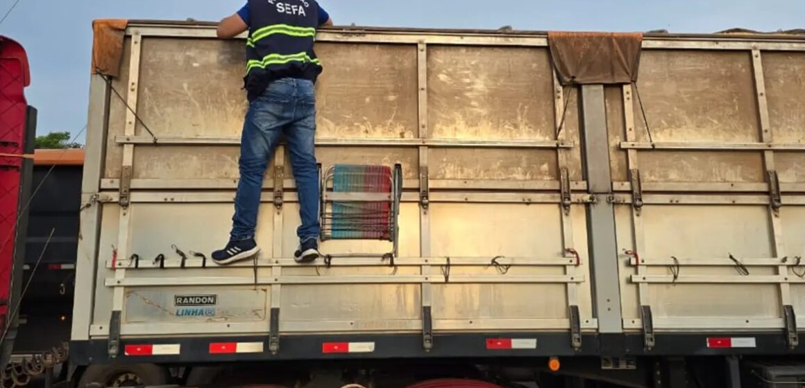 20251119151059-GC00072692-F00276155E Mais de 48 toneladas de milho são apreendidas no sudoeste do Pará