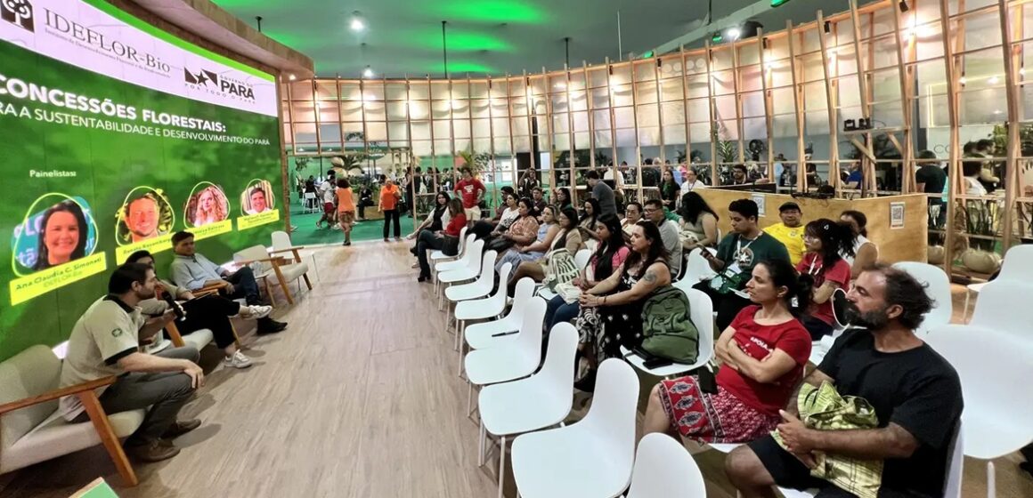 Concessões florestais são apresentadas como modelo de desenvolvimento sustentável na COP30