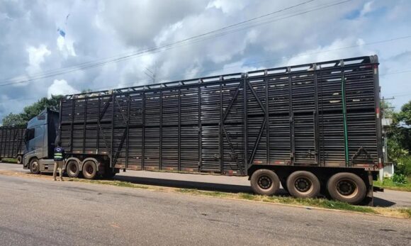 Operação da Sefa apreende gado e cacau no Araguaia com valor superior a R$ 400 mil