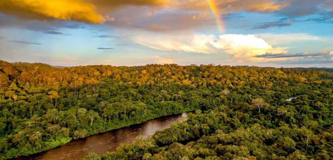 Pará registra maior redução de desmatamento da Amazônia Legal em 2025