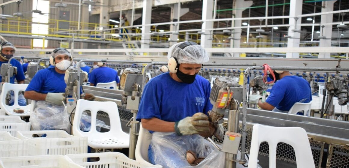Pará deve gerar mais de 12 mil empregos industriais até 2027, aponta CNI