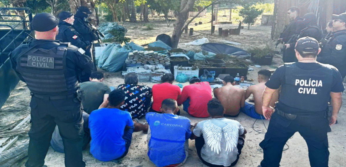 Captura de tela 2025-11-26 122648 Polícia Civil desmonta ‘fábrica de maconha’ com estufa climatizada no sudeste do Pará