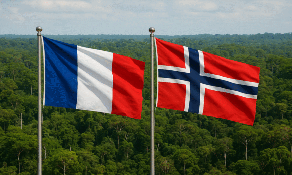 Noruega e França anunciam bilhões em novo fundo global para proteger florestas tropicais