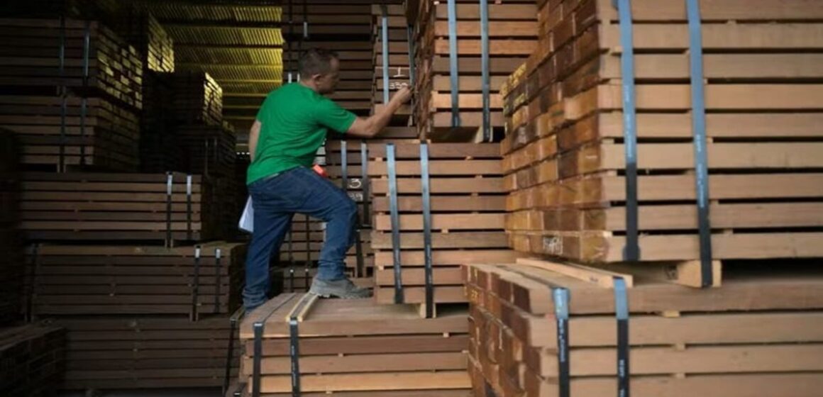 Pará responde por 40% da madeira legal da Amazônia e revela dependência nacional do estado