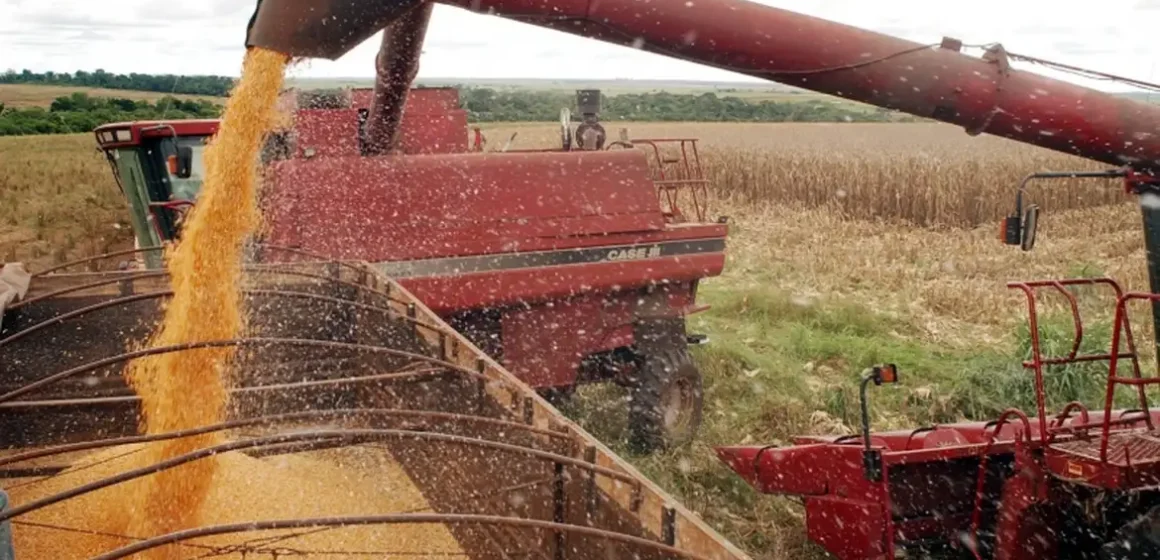 safra_3 Plantio da soja atinge 61% da área no Brasil, mas mantém atraso ante safra anterior