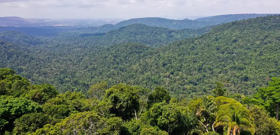 vice-presidente_da_republica_hamilton_mourao_carajas_missoes_diplomaticas_a_amazonia_oriental0809210165 Sete países lançam aliança por transporte sustentável na Amazônia durante COP30
