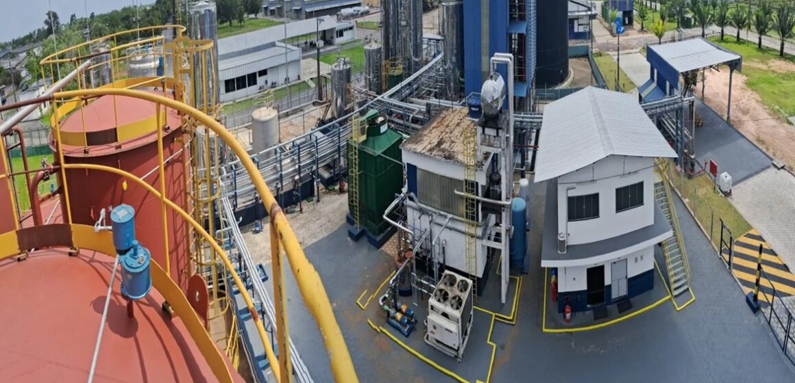 Agropalma retorna ao mercado de biodiesel com nova usina no Pará após 15 anos