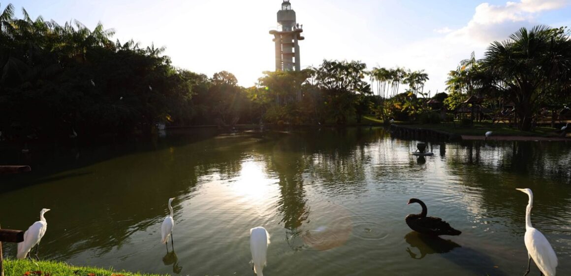 Horários de funcionamento de órgãos e parques do Pará no fim de ano são divulgados