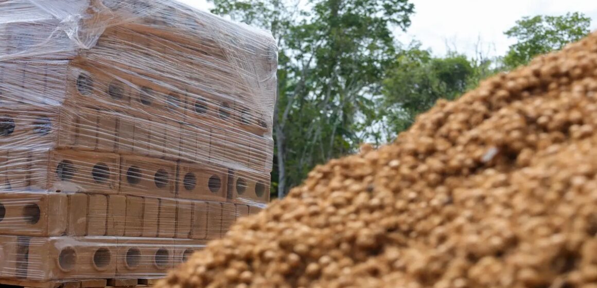 Pará inicia construção de casas ecológicas com tijolos de caroço de açaí em ilhas de Belém