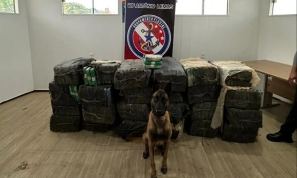 Pará atinge marca histórica de 16 toneladas de drogas apreendidas em 2025 após operação no Marajó