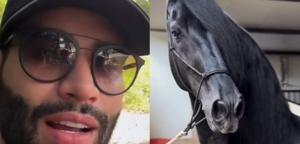 Gusttavo Lima compartilha visita milionária a haras com os filhos