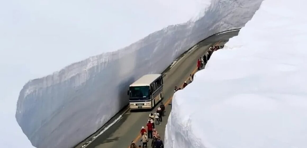 WhatsApp Image 2025-12-04 at 14.36.16 Japão abre estrada esculpida entre paredes de neve com mais de 20 metros de altura