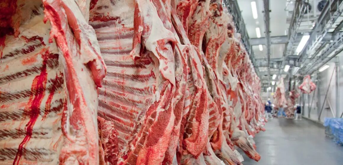 China anuncia cota e novas tarifas para importação de carne bovina, impactando Brasil