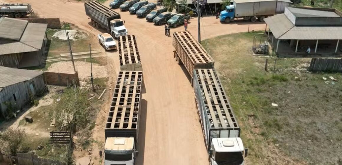 Vaqueiro contratado pelo Ibama é morto em emboscada durante operação em terra indígena no Pará