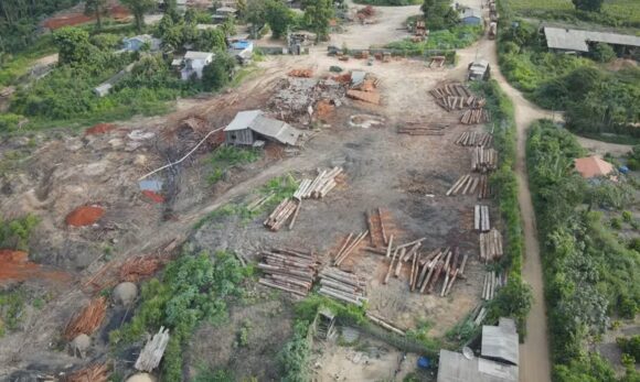2026-01-07-fiscalizacao-abrange-toda-a-cadeia-produtiva-da-madeira Ibama desmantela esquema de extração ilegal de madeira no Pará e aplica multas de R$ 13 milhões