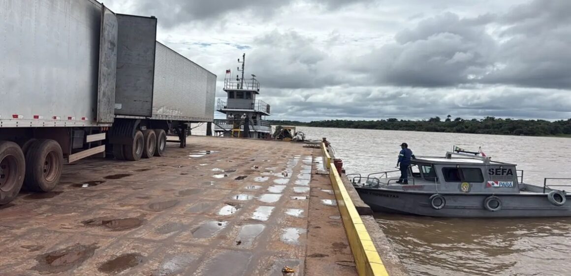 20260121143436-GC00074089-F00285335E Cargas irregulares de gado, cerveja e pneus são apreendidas no Pará no valor de R$ 1,3 milhão