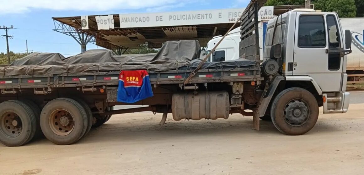 Mais de 14 mil bebidas e 140 cabeças de gado são apreendidas em operações no Pará