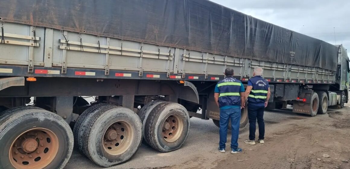 Fiscalização do Pará apreende resina, cimento e painéis isotérmicos em operações de rotina
