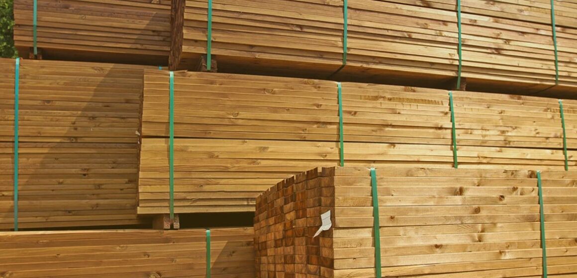 DC_BLOG_Exportacao-de-madeira-confira-um-passo-a-passo Exportação de madeira do Pará cresce 10,9% em 2025 e movimenta US$ 231 milhões