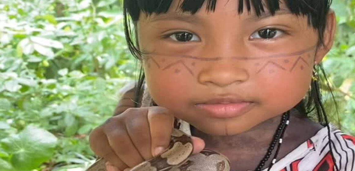 Pequena indiazinha encanta redes sociais com soltura de cobra em sua comunidade