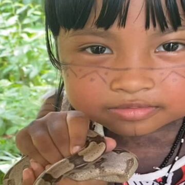 Pequena indiazinha encanta redes sociais com soltura de cobra em sua comunidade
