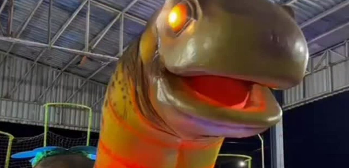 SaveClip.App_617340995_1571074543929945_2728194805662178549_n Primeiro Grito de Carnaval 2026 movimentará ruas do Pará neste domingo
