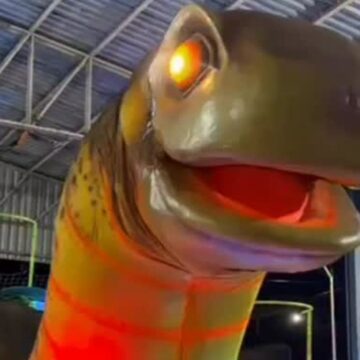 SaveClip.App_617340995_1571074543929945_2728194805662178549_n Primeiro Grito de Carnaval 2026 movimentará ruas do Pará neste domingo