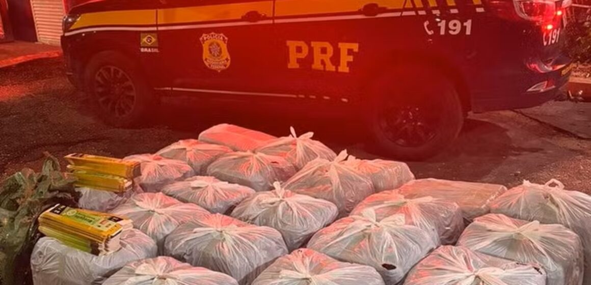 PRF apreende incensos mata-mosquito proibidos em ônibus na BR-316, na Grande Belém