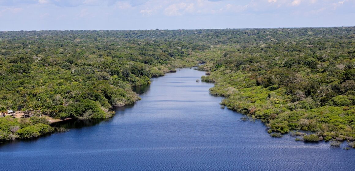 Estudo aponta que 18% da Amazônia são áreas úmidas e vulneráveis às mudanças climáticas