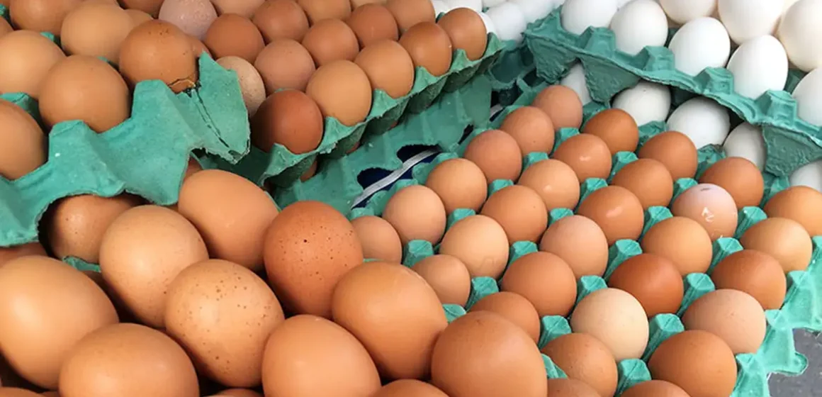 Ovos ficam até 20% mais baratos em Belém ao fim de 2025
