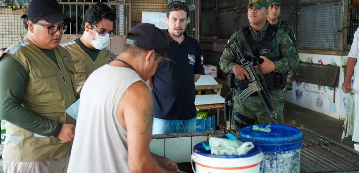20260205092209-GF00026211-F00489148 Defeso do caranguejo-uçá no Pará combina fiscalização e conscientização para proteger espécie