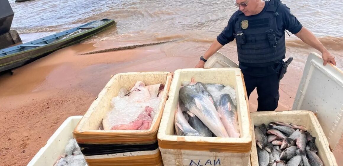20260212101615-GC00074613-F00288484 Base Integrada Fluvial Candiru apreende mais de meia tonelada de pescado irregular em Óbidos