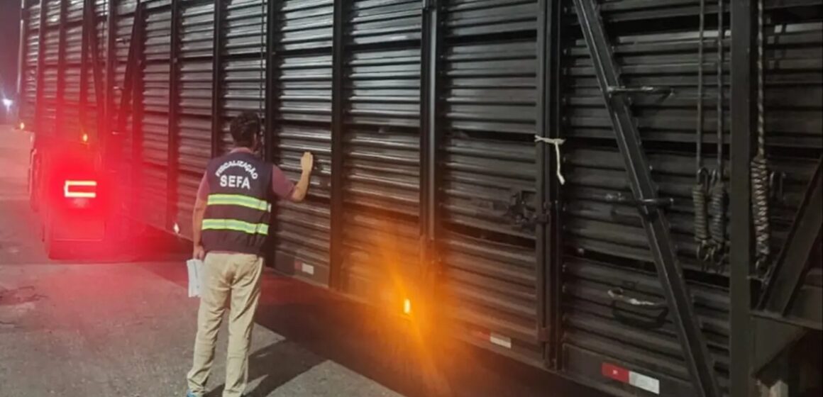 Fiscais apreendem 120 bois com nota subfaturada avaliados em mais de R$ 300 mil no nordeste do Pará