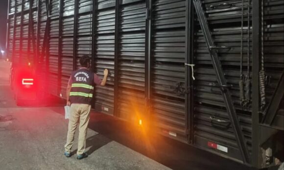 Fiscais apreendem 120 bois com nota subfaturada avaliados em mais de R$ 300 mil no nordeste do Pará