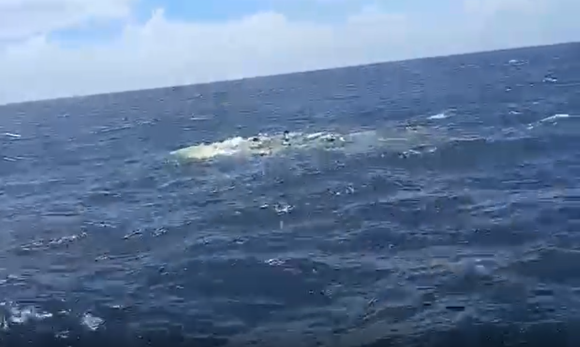 Naufrágio de barco pesqueiro deixa um desaparecido no litoral do Pará