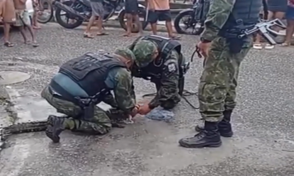 Captura de tela 2026-02-19 140812 Jacaré é resgatado por polícia ambiental após aparecer em canal de Belém durante período chuvoso