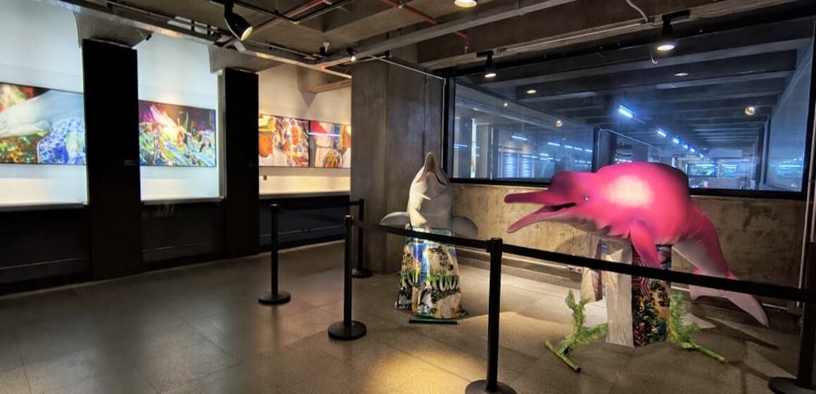 Exposição fotográfica leva a celebração do Sairé e a disputa dos Botos ao Museu de Arte Sacra de São Paulo