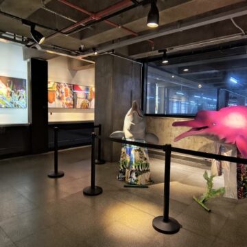 Exposição fotográfica leva a celebração do Sairé e a disputa dos Botos ao Museu de Arte Sacra de São Paulo