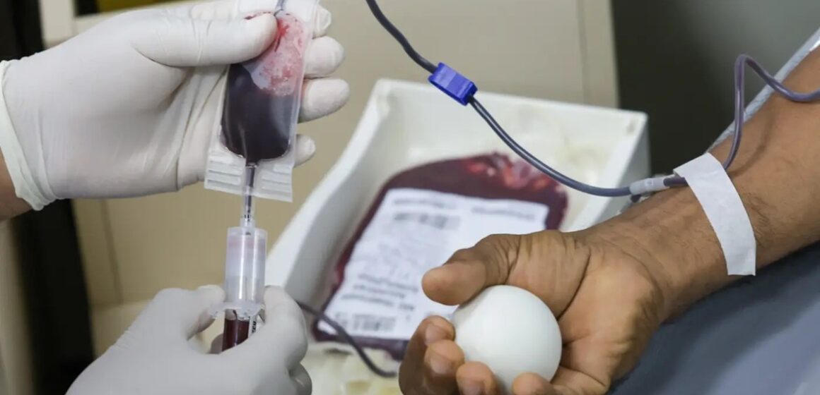 WhatsApp Image 2026-02-04 at 15.17.46 Hemopa registra aumento de quase 20% nas doações de sangue em janeiro