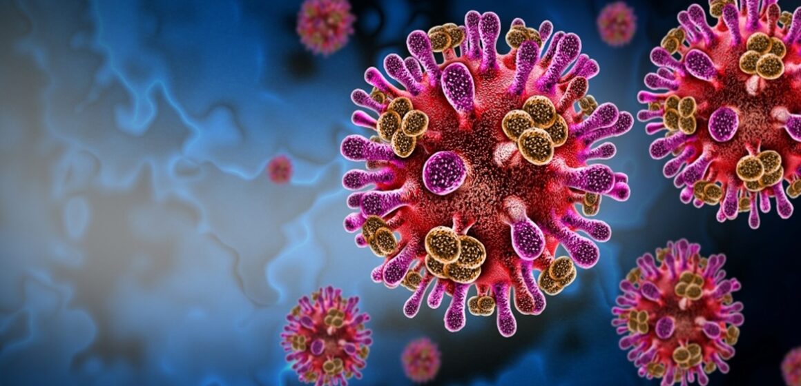 o-virus-nipah-pode-se-espalhar-pelo-mundo-e-causar-uma-pandemia Fiocruz e Ministério da Saúde estabelecem protocolos preventivos para o vírus Nipah