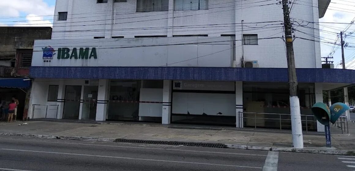 unnamed IBAMA abre inscrições para estágio remunerado em Belém e Santarém