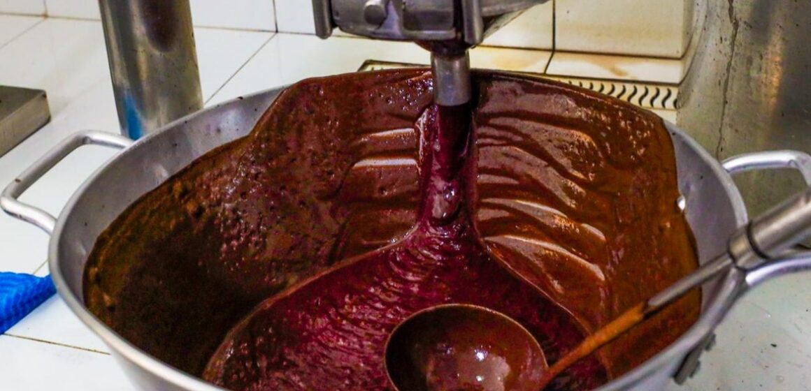 Estudo da UFPA aponta que açaí pode ajudar no combate à ansiedade e à depressão