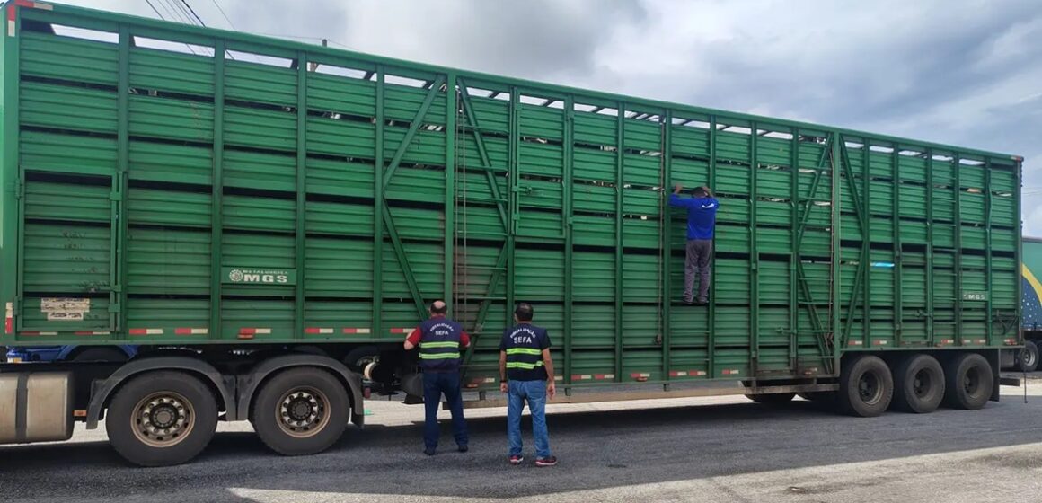 Fiscalização apreende gado, peças e perfis de aço em operações no Pará