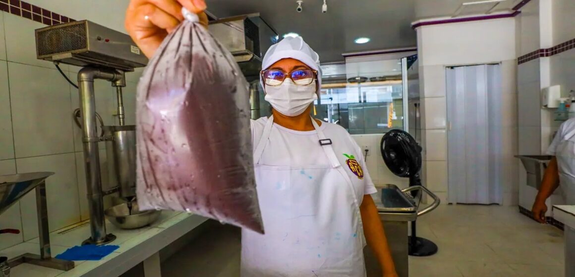 Estudo da Fapespa aponta Pará como líder absoluto na produção nacional de açaí