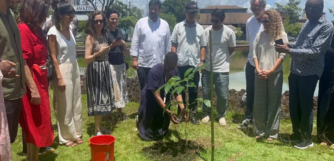 Pará apresenta Plano de Bioeconomia a comitiva da África como referência global