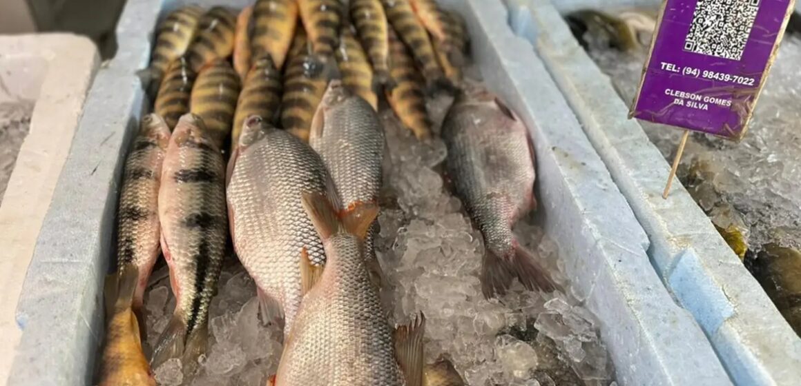 Feira do Pescado em Marabá oferece produtos de qualidade para a Semana Santa