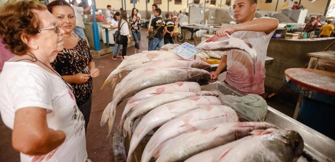Aumentam oferta de pescado em Belém, mas preços preocupam antes da Semana Santa