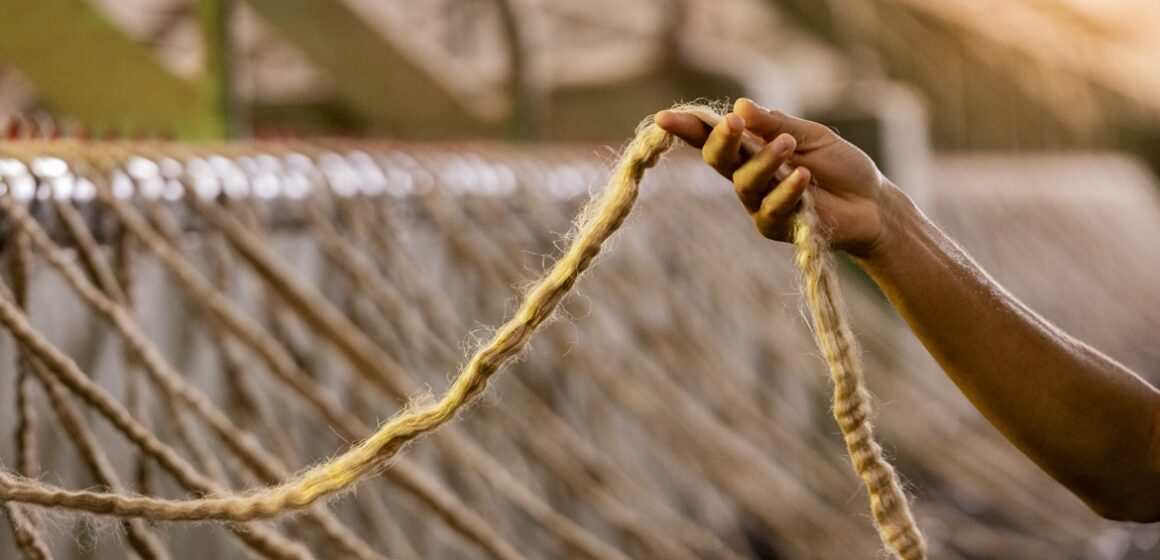 Parceria garante produção paraense da corda do Círio 2026, feita com fibra de malva amazônica