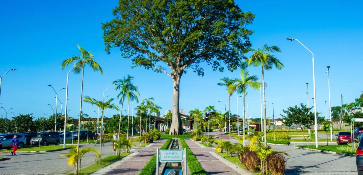 Mulheres serão homenageadas com aulão aeróbico neste sábado (14), no Parque do Utinga, em Belém