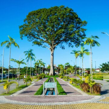 Mulheres serão homenageadas com aulão aeróbico neste sábado (14), no Parque do Utinga, em Belém